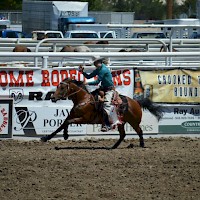 Prineville Crooked River Round Up Rodeo